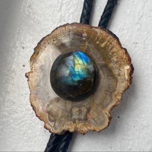 Vintage Petrified Wood Bolo Tie